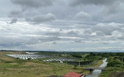 Loạt trang trại "núp bóng" nuôi trồng để sản xuất điện mặt trời 