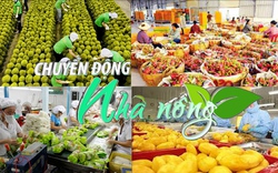 Chuyển động Nhà nông 23/9: Thu về 3,84 tỷ USD, xuất khẩu rau quả lập kỷ lục lịch sử