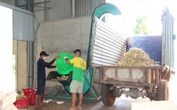 Cứ bóc 1kg múi sầu riêng thải 3kg vỏ, ở Đắk Lắk người ta đang làm gì với loại rác từ cây tiền tỷ?