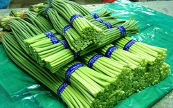 Thứ này có giá 90.000đ/kg, người Trung Quốc gọi là “rau trường thọ”, ăn rất ngon lại có thể làm thuốc
