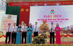 Hội Nông dân tỉnh Bắc Kạn nhân rộng, lan toả các mô hình nông dân sản xuất kinh doanh giỏi