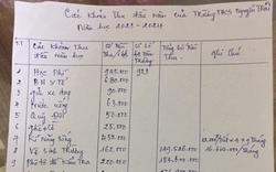 Thêm trường học bị phụ huynh tố "lạm thu": Từ tiền tivi, loa đài, bàn ghế đến quỹ lớp, quỹ hội