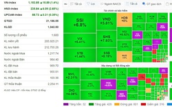 Nhóm cổ phiếu Large Cap "kéo" thị trường, VN-Index tăng gần 16 điểm