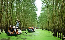Xu thế du lịch bền vững chiếm phần trội tại thị trường Việt Nam