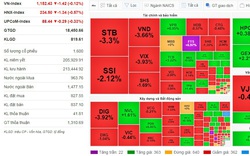 Nhà đầu tư thận trọng đứng ngoài quan sát, VN-Index giảm nhẹ 1,42 điểm