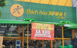 Thế Giới Di Động bán 20% cổ phần Bách Hóa Xanh cho “ông lớn” Singapore, Thái Lan?