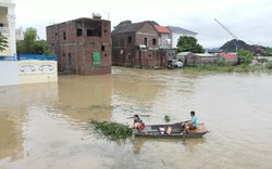 Nước thượng nguồn tràn về, nhà cửa nhiều nơi ở Ninh Bình chìm trong biển nước, ngập toàn bộ kênh Kê Gà