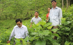 Những khó khăn, thách thức trong đảm bảo quyền an sinh xã hội cho đồng bào dân tộc thiểu số khu vực biên giới