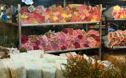 Tiểu thương tiết lộ những điều ít biết về chợ hoa đêm lớn nhất Hà thành