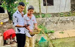 Nông dân Hưng Yên làm giàu với mô hình chăn nuôi mới, cây trồng mới