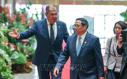 Việt - Nga coi trọng quan hệ đối tác chiến lược toàn diện hai nước