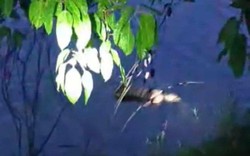 TT-Huế: Điều tra vụ nam thanh niên 20 tuổi tử vong, thi thể trôi trên sông Hương