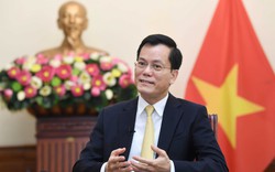 Thứ trưởng Hà Kim Ngọc: Chuyến thăm của Tổng thống Mỹ Joe Biden hiện thực hóa mong muốn của Chủ tịch Hồ Chí Minh