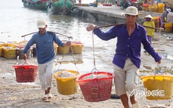 Vùng biển này ở Tiền Giang, đến nơi thấy gánh tấp nập một con vật như que tăm, làm ra vô số món đặc sản