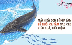 SỔ TAY NHÀ NÔNG: Mách bà con cách làm bể nuôi cá tầm sao cho hiệu quả, tiết kiệm