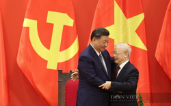 Đối ngoại Việt Nam 2023: 28 lãnh đạo cấp cao các nước thăm Việt Nam trong năm qua