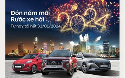 Hyundai dẫn đầu thị phần xe Ô tô trong năm 2023 tại Đắk Lắk