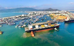 Cổ phiếu QNP của Cảng Quy Nhơn sắp 'chào sàn' HoSe sau 7 năm gửi hồ sơ