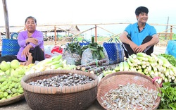 Chợ quê Đồng Tháp bán sản vật, có rau đồng, cá đồng, sao càng nhiều người muốn đến xem?