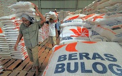 Một nước Đông Nam Á lại muốn mua 2 triệu tấn gạo, cơ hội của Việt Nam