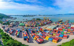 Cảng Đà Nẵng (CDN) báo lãi 345 tỷ đồng, hoàn thành vượt kế hoạch năm
