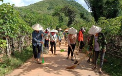 Sông Mã: Nhiều hoạt động bảo vệ môi trường hiệu quả