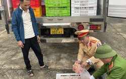 Cảnh sát Quảng Bình phát hiện tài xế chở gần 4 tấn gà đông lạnh không nguồn gốc
