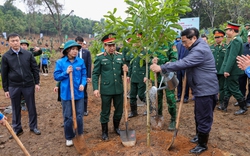 Phát động “Tết trồng cây đời đời nhớ ơn Bác Hồ” nhân dịp xuân Giáp Thìn năm 2024