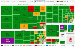 VN-Index đảo chiều tăng gần 10 điểm