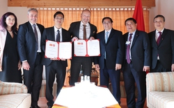 Sao Thái Dương và staBOO Holdings AG bắt tay làm dự án 3.000 tỷ đồng chế biến tre 