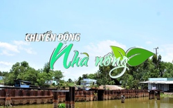 Chuyển động Nhà nông 18/1: Khẩn trương triển khai các giải pháp phòng chống hạn, mặn ở Kiên Giang