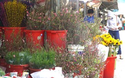 
Chợ hoa tươi đặc sắc giữa Sài thành lên hàng đón Tết