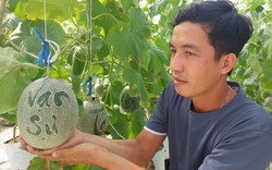 Một anh nông dân Sóc Trăng trồng dưa lưới khắc chữ bán dịp Tết, có bao nhiêu khách mua hết sạch