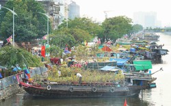 Con đường gốm đỏ Vĩnh Long, không gian hoa Đà Lạt có mặt ở Chợ hoa Xuân "Trên bến dưới thuyền" TP.HCM Tết Giáp Thìn