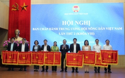 Trung ương Hội NDVN tặng Cờ thi đua, Bằng khen, công nhận danh hiệu thi đua cho Hội ND các tỉnh, thành phố
