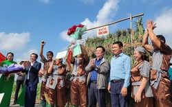 Bộ trưởng Lê Minh Hoan, Bí thư Tỉnh ủy Hải Dương Trần Đức Thắng xuống đồng cổ vũ nông dân thi nhổ hành, tỏi