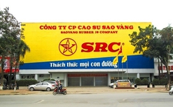 Cao su Sao Vàng (SRC) báo lãi 39 tỷ đồng, đạt 39% kế hoạch năm