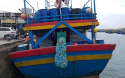 "Chuyện lạ" tại Bình Định: Nhặt rác ở biển… mang về bờ