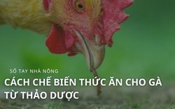 SỔ TAY NHÀ NÔNG: Cách chế biến thức ăn cho gà từ thảo dược