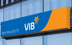 VIB: Doanh thu năm 2023 tăng trưởng 23%, lợi nhuận vượt 10.700 tỷ đồng