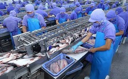 "Nữ hoàng cá tra" Vĩnh Hoàn báo lãi giảm gần 70% trong quý IV/2023