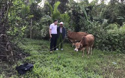 Quảng Nam: Vốn tín dụng chính sách giúp người dân huyện miền núi Nam Giang có việc làm, thoát nghèo bền vững 