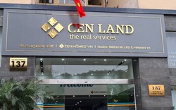 Lợi nhuận Cenland (CRE) sụt giảm 99%, đạt 2,5 tỷ đồng