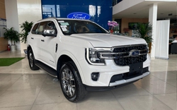 Các dòng xe Ford ưu đãi lớn tháng 1/2024: Ford Everest, Ranger, Territory giảm 50% lệ phí trước bạ