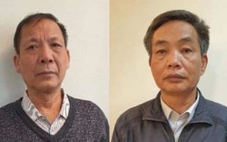 Bắt 2 thành viên HĐTV Tổng Công ty Chè Việt Nam