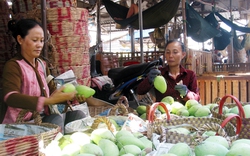Đây là loại cây ăn trái đặc sản nổi tiếng của Tiền Giang, xuất khẩu quả tươi, làm du lịch sinh thái đều ra tiền