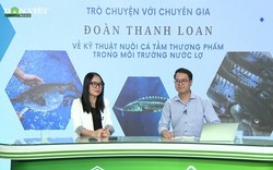 GÓC CHUYÊN GIA: Cần chuẩn bị gì trước khi nuôi cá tầm trong môi trường nước lợ