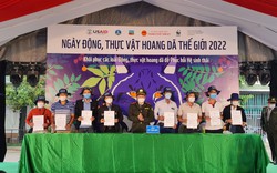 Tỉnh Quảng Nam trình Thủ tướng đăng cai tổ chức năm phục hồi đa dạng sinh học quốc gia

