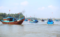Một ngư dân ở Quảng Nam bị phạt hơn 370 triệu đồng