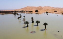 Hy hữu: Sa mạc Sahara ngập trong biển nước